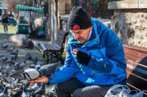 Darıca sülük tedavisi — Fotoğraf: MEHMET KAYNAR (Pexels)