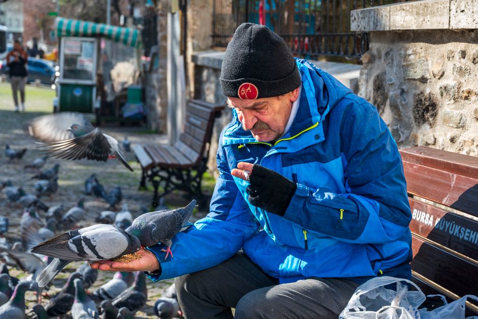 Darıca sülük tedavisi — Fotoğraf: MEHMET KAYNAR (Pexels)